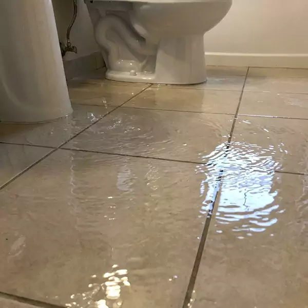 Expert Flooded Bathroom Restoration in Margate, FL 