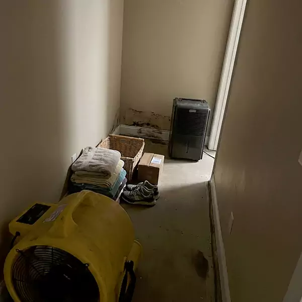 Expert Water Remediation in Margate, FL 