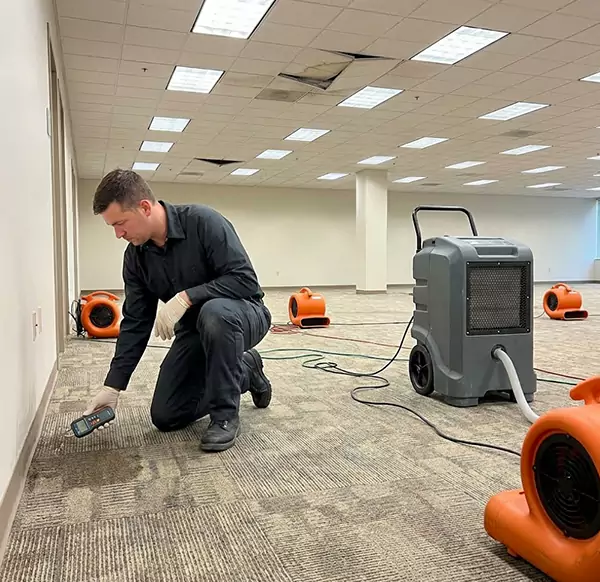 Why Businesses Choose Margate Water Damage Restoration for Commercial Water Damage in Margate, FL?