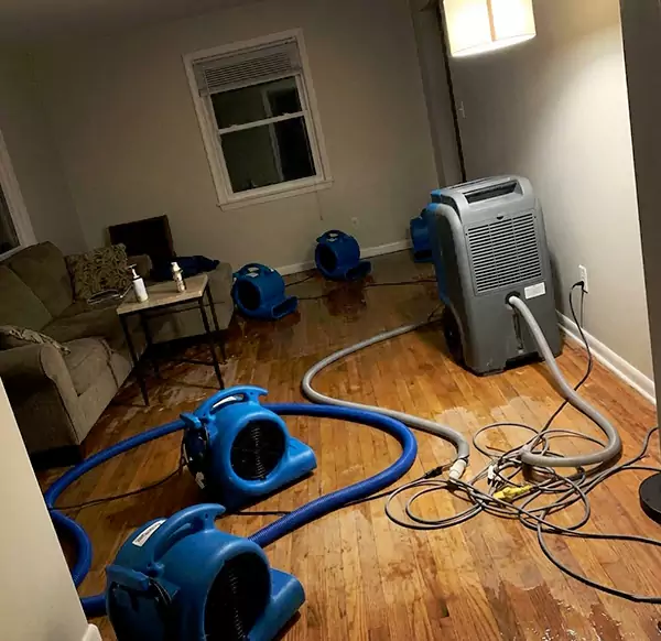 Why Homeowners & Businesses Choose Margate Water Damage Restoration for Emergency Water Restoration in Margate, FL?